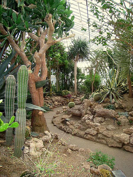 450px-Phipps_Conservatory_%26_Botanical_Gardens_208.jpg