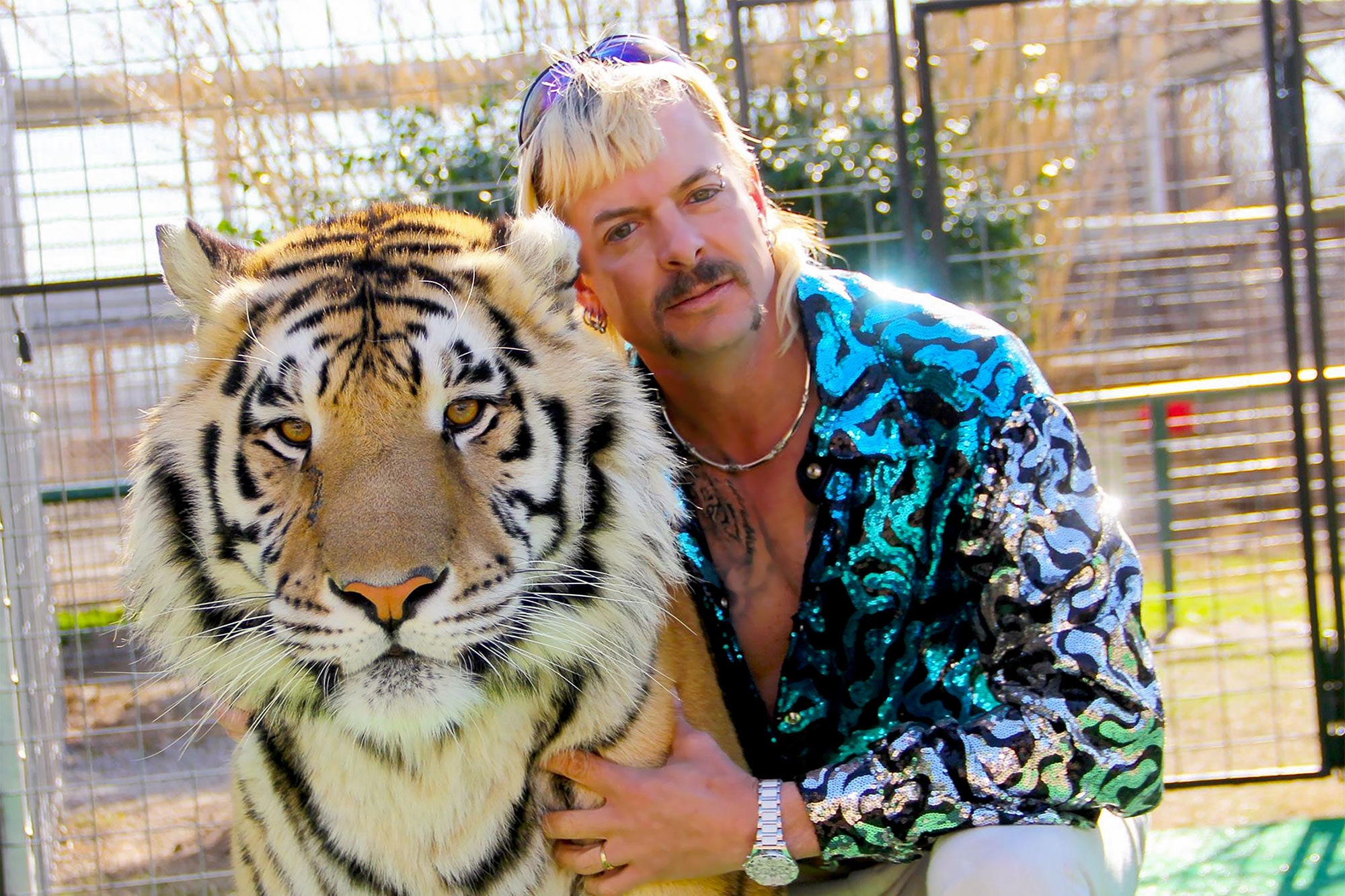 TigerKing_Joe-Exotic.jpg