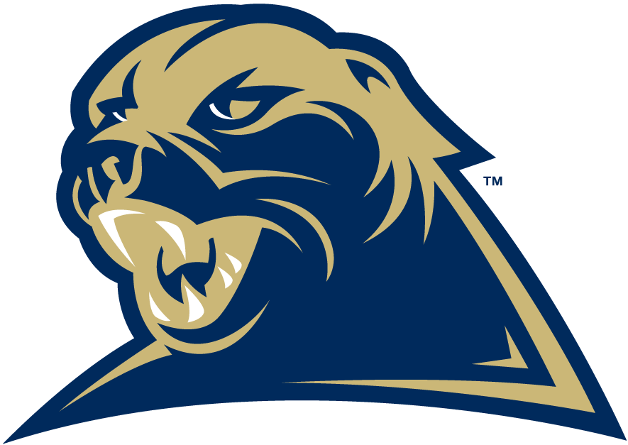 5347_pittsburgh_panthers-alternate-2002.png