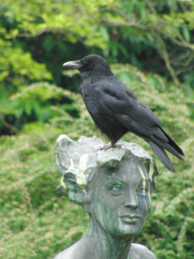 stock_crow_statue_by_twins72.jpg