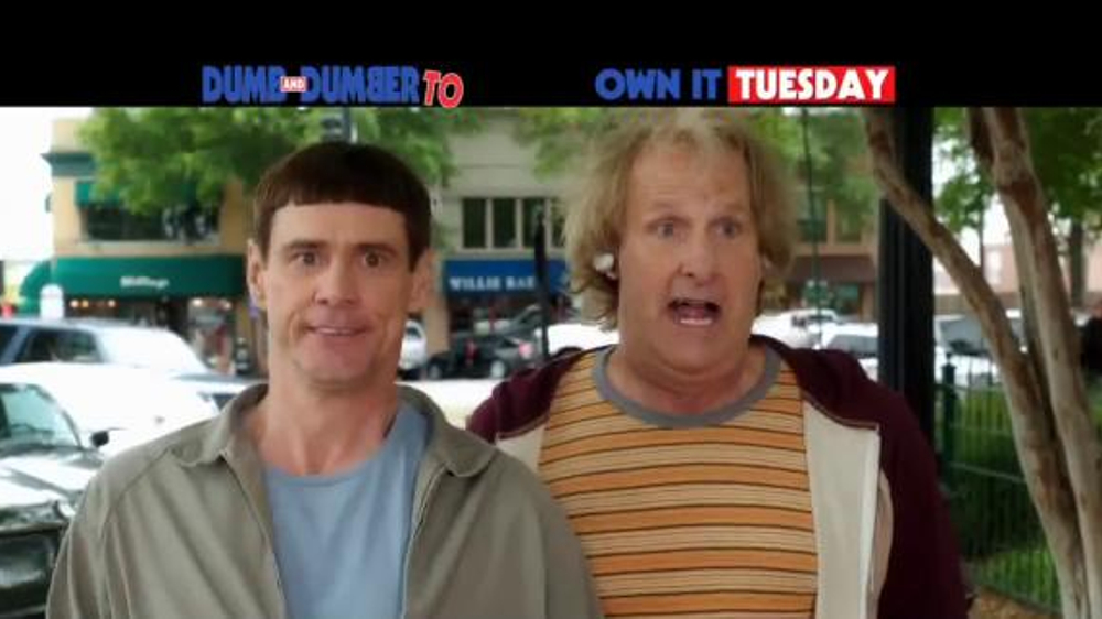 dumb-and-dumber-to-blu-ray-and-dvd-large-1.jpg