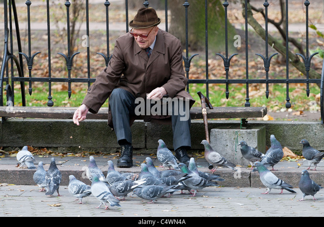 old-men-feeding-pigeons-in-lviv-ukraine-c4wn4a.jpg