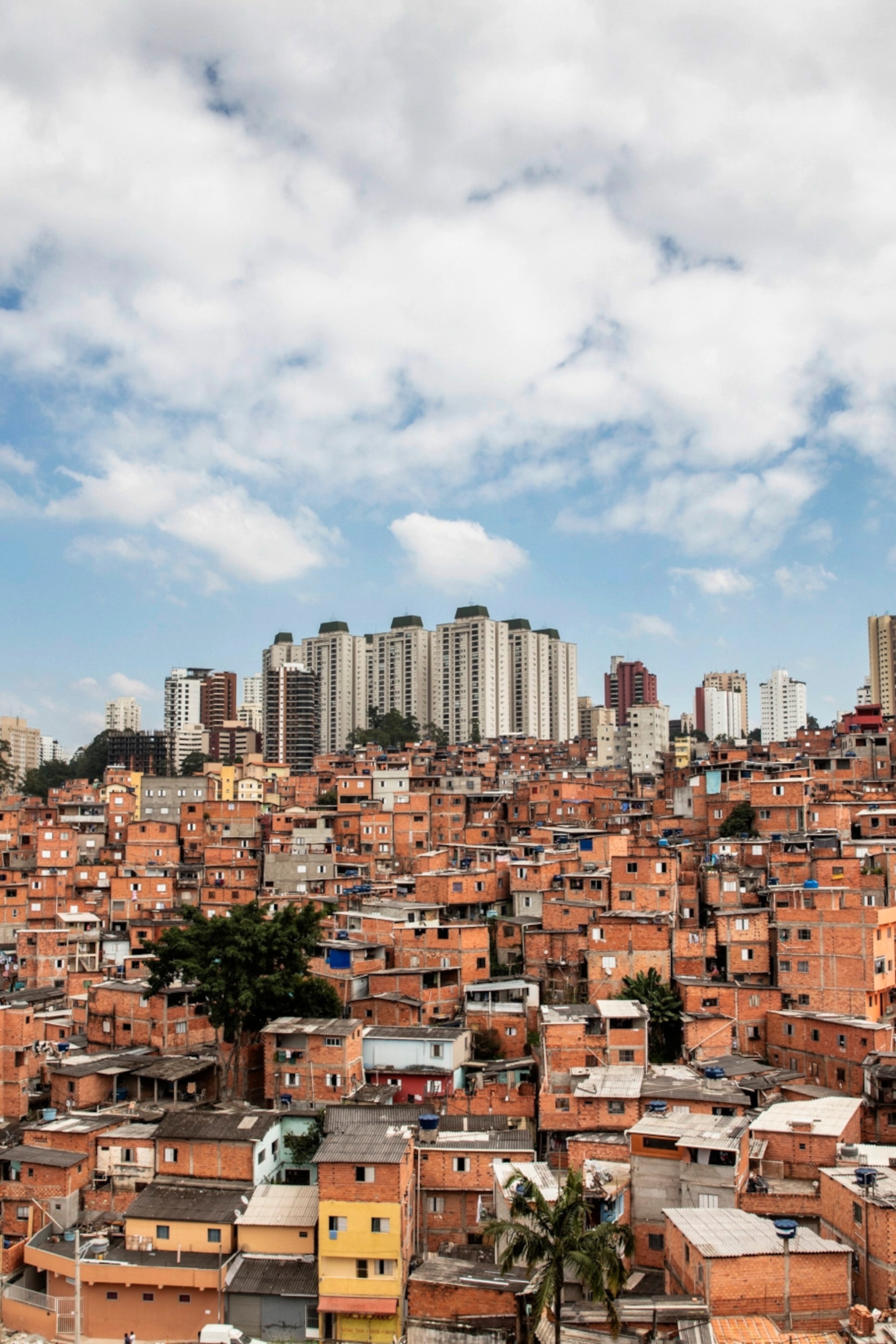 covid-19-favela-sprawling-neighborhood_2x3.jpg